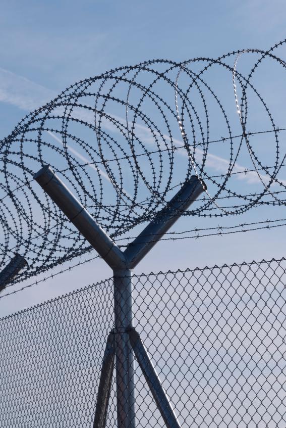 barbed-wire.jpg